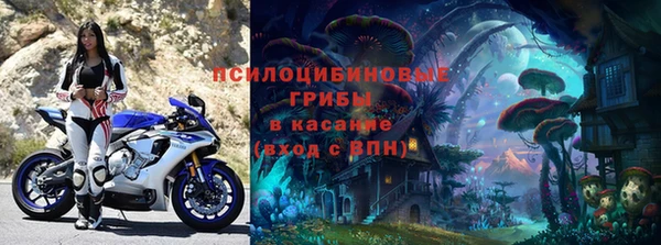 сатива Алексин