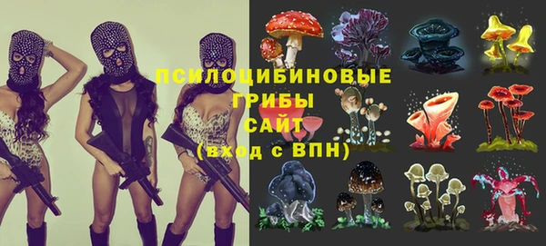 гашик Абинск