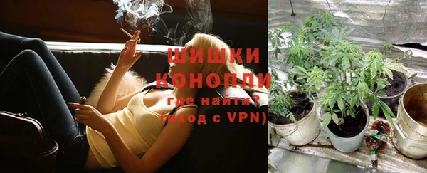 PSILOCYBIN Абдулино