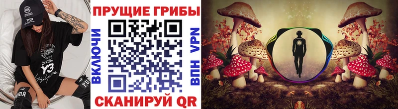 Галлюциногенные грибы Cubensis mega как зайти Бирюч